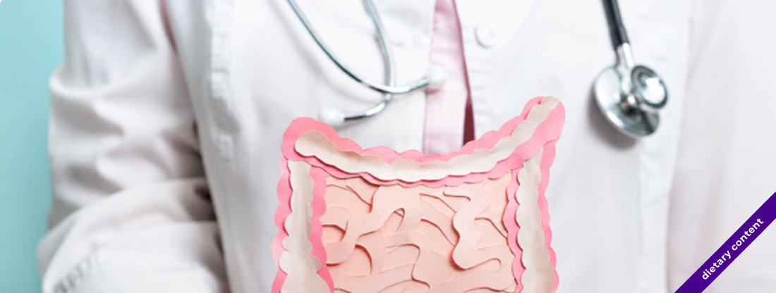 Weight Gain and Weight Loss: Does Your Body Weight Depend on Your Gut Microbiome?
