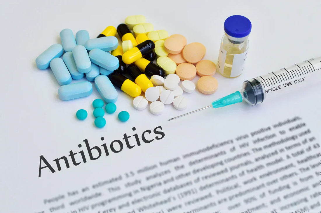 Supporting Your Microbiome During Antibiotic Treatment: How Prebiotic Fibers Can Help